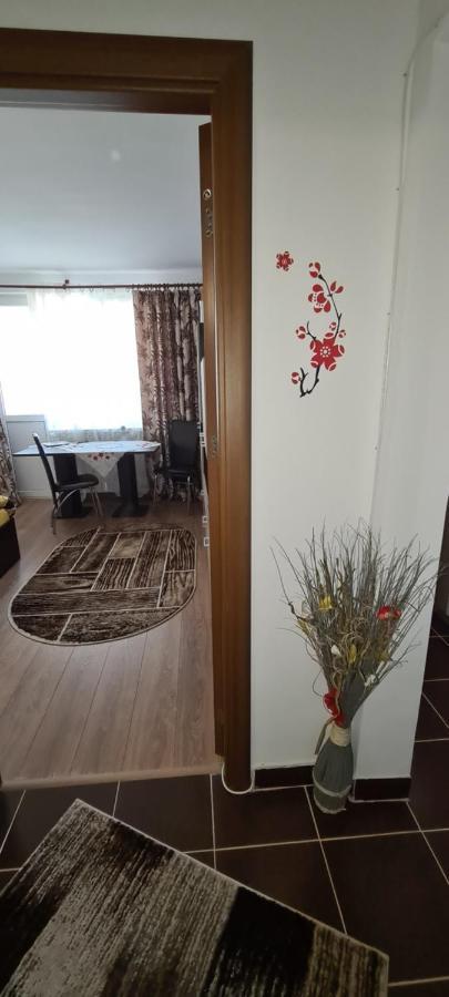 Casa Suzana Daire Piatra Neamţ Dış mekan fotoğraf