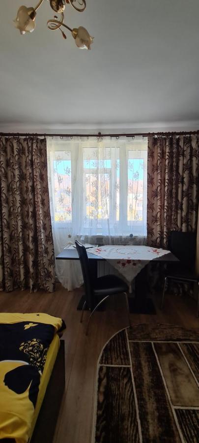 Casa Suzana Daire Piatra Neamţ Dış mekan fotoğraf