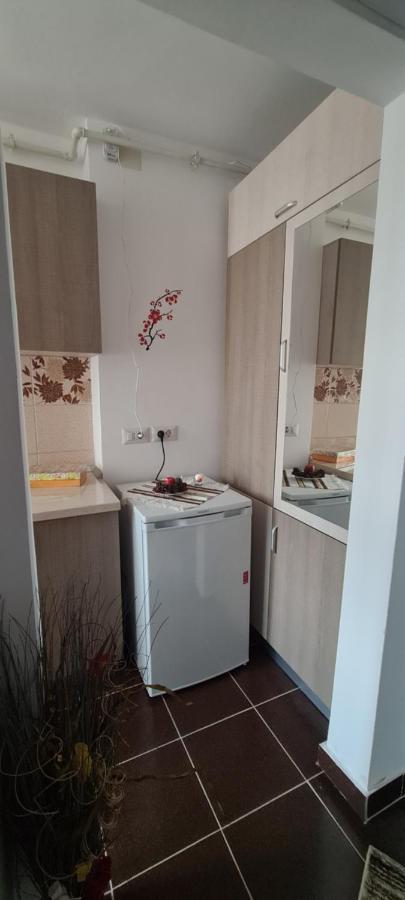 Casa Suzana Daire Piatra Neamţ Dış mekan fotoğraf